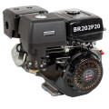 Двигатель 6,5 л.c. d=19мм. Brait BR202P19PRO 03.01.151.035 в Иркутске