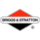 Двигатели Briggs-Stratton в Иркутске
